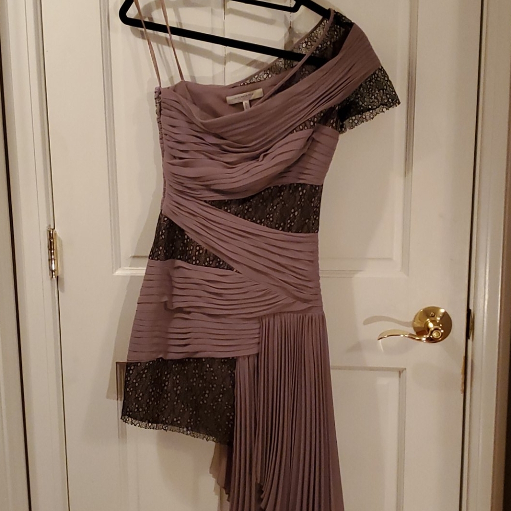 BCBGMaxAzria Runway Pleated Dress